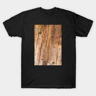 Wooden texture T-Shirt